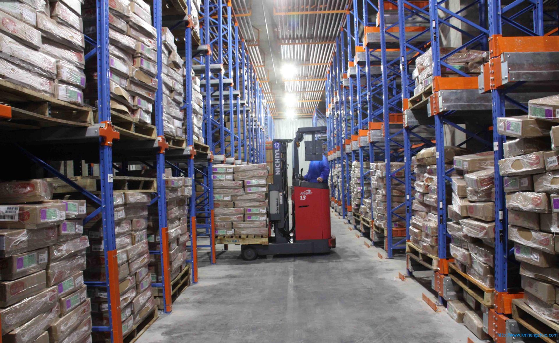 HZ-798型通廊式貨架 通廊式倉庫貨架應(yīng)用案例 HZ-798型通廊式貨架 通廊式倉庫貨架應(yīng)用案例