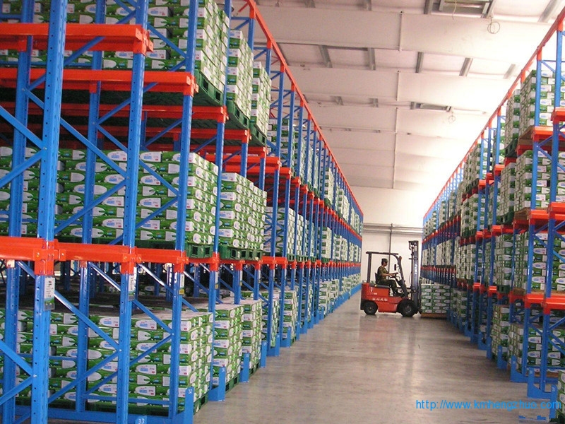 HZ-798型通廊式貨架 通廊式倉庫貨架應(yīng)用案例 HZ-798型通廊式貨架 通廊式倉庫貨架應(yīng)用案例