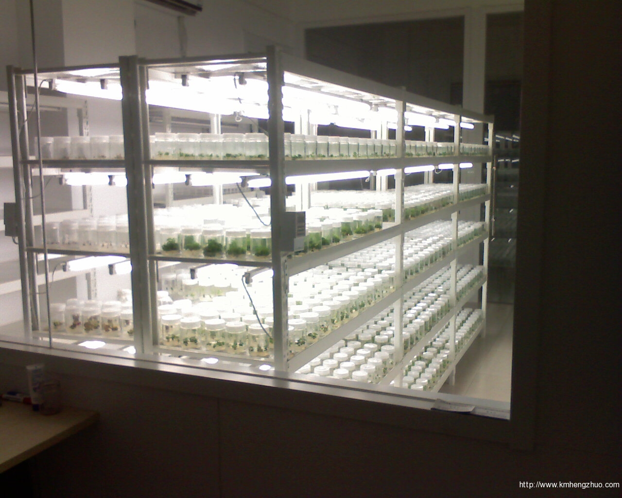 HZ-558型花車貨架